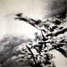 11 Hiver 1990-1993 Encre sur papier 138 x 138cm